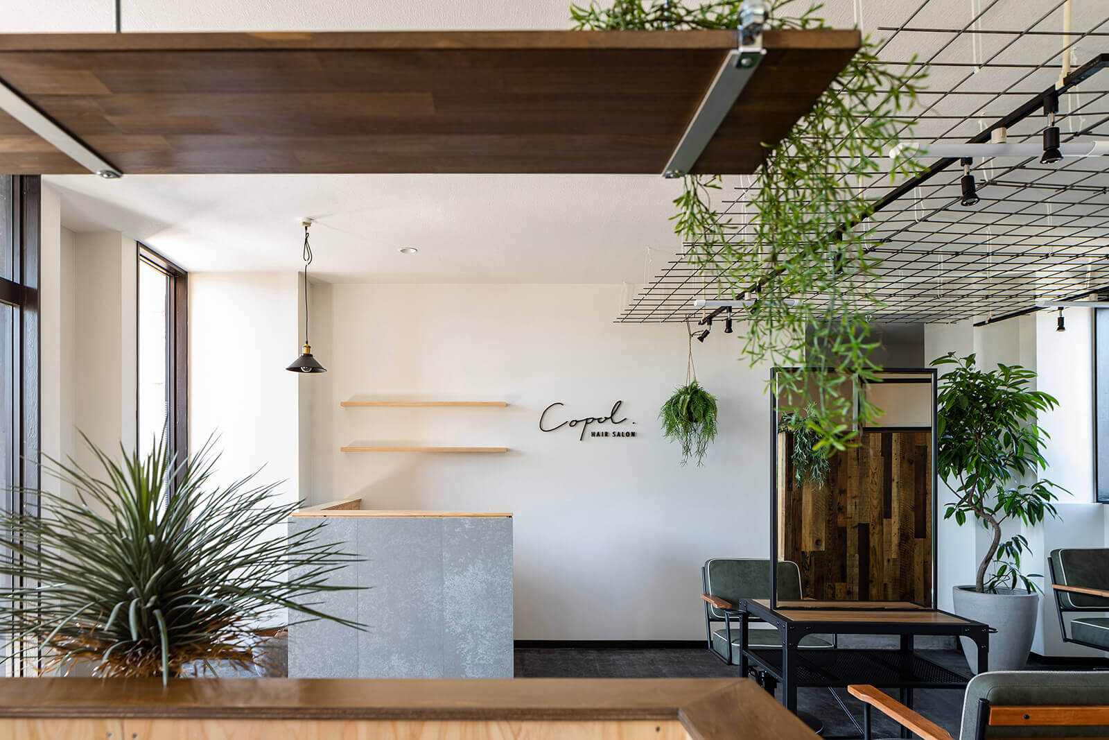 バルボア・スタジオ事例2